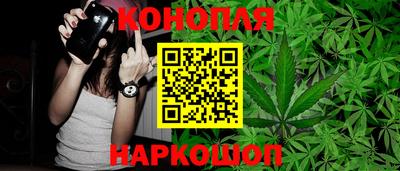 прущие грибы Моздок