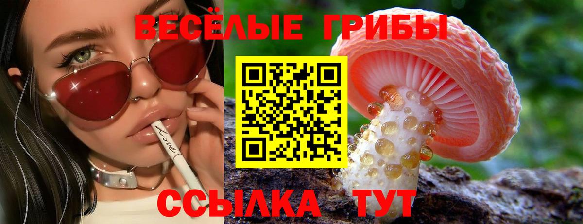 Электрогорск  Псилоцибиновые грибы прущие грибы  Вход с VPN 