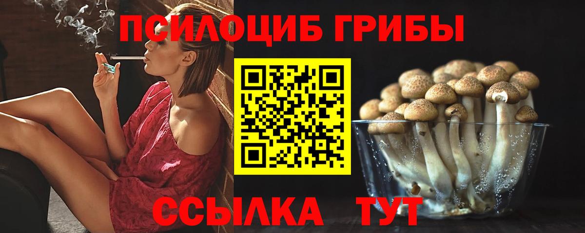 Галлюциногенные грибы Psilocybe Электрогорск